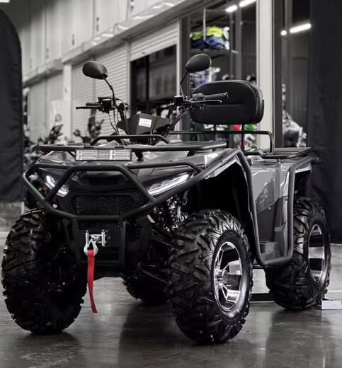 Квадроцикл Exot 400 EFI 4x4 pitbikemarket.ru